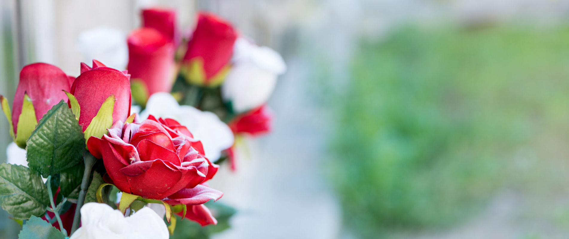 Flowers in a cemetery